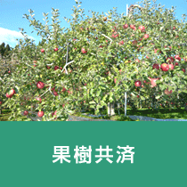 果樹共済